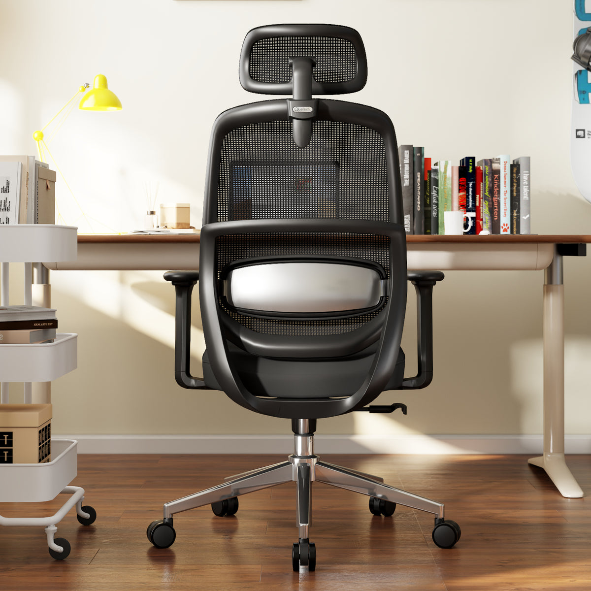 Quelsoft E100 Ergonomic Chair with Adaptive Lumbar Support